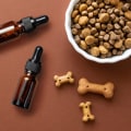 All You Need to Know About CBD Treats for Dogs