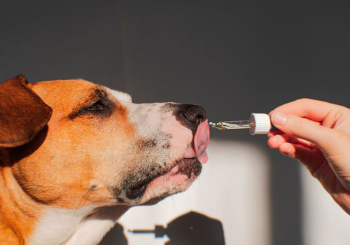 Utilizing Third-Party Review Websites for CBD Oil for Pets