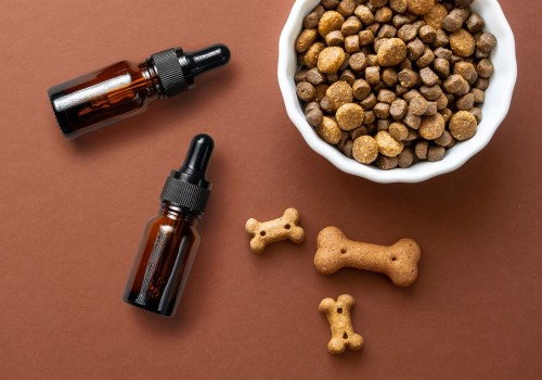 All You Need to Know About CBD Treats for Dogs