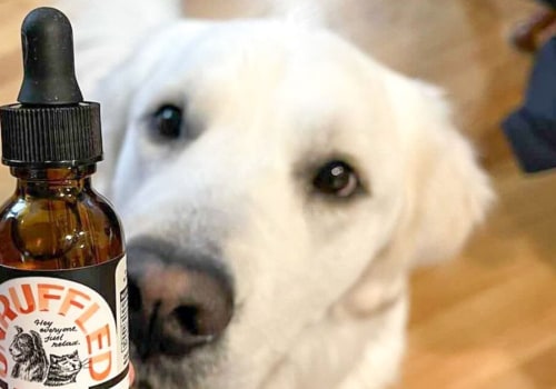 Insights on CBD Oil for Different Types of Pet Conditions
