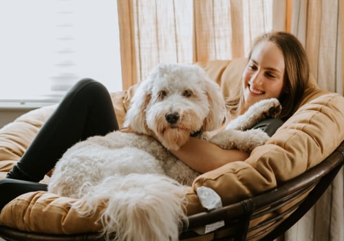 The Calming Effects of CBD on Pets